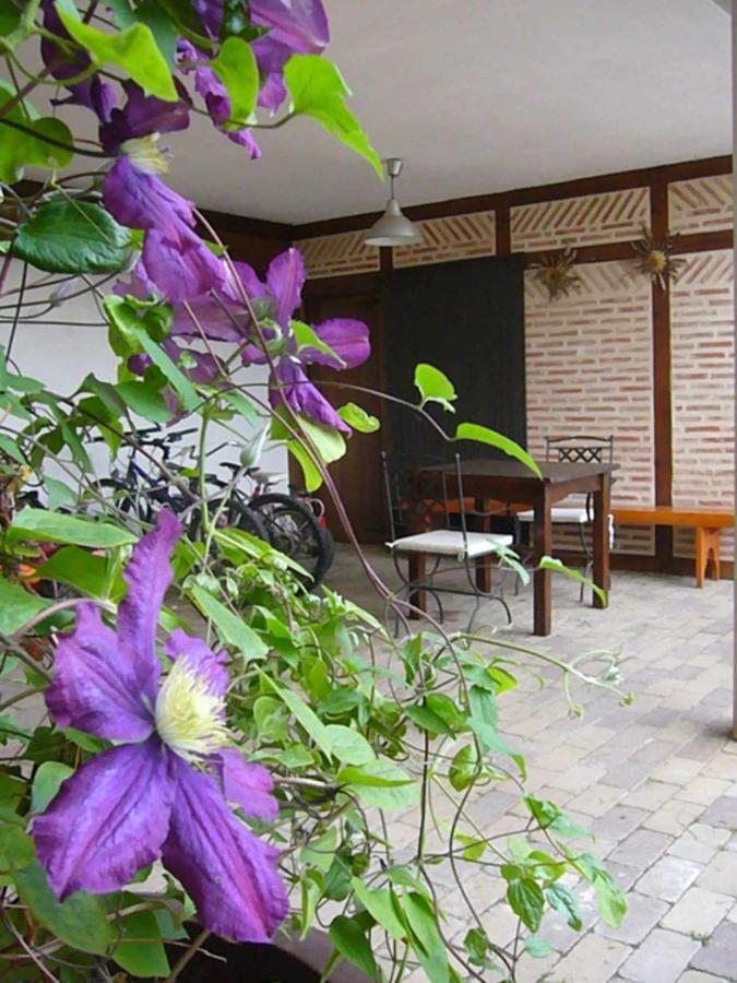Apartamentos Rurales Casa Lafuente Luquiano Kültér fotó